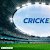 Best Cricket Betting and Casino App for India- Crickex